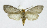  ( - 19-BAES-00951)  @11 [ ] CreativeCommons - Attribution Non-Commercial Share-Alike (2022) Bernardo Espinoza Guanacaste Dry Forest Conservation Fund