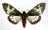  ( - 20-BAES-01038)  @11 [ ] CreativeCommons - Attribution Non-Commercial Share-Alike (2022) Bernardo Espinoza Guanacaste Dry Forest Conservation Fund