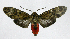  ( - 20-BAES-01051)  @11 [ ] CreativeCommons - Attribution Non-Commercial Share-Alike (2022) Bernardo Espinoza Guanacaste Dry Forest Conservation Fund