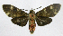  ( - 20-BAES-01055)  @11 [ ] CreativeCommons - Attribution Non-Commercial Share-Alike (2022) Bernardo Espinoza Guanacaste Dry Forest Conservation Fund