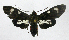  ( - 20-BAES-01058)  @11 [ ] CreativeCommons - Attribution Non-Commercial Share-Alike (2022) Bernardo Espinoza Guanacaste Dry Forest Conservation Fund