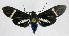  ( - 20-BAES-01103)  @11 [ ] CreativeCommons - Attribution Non-Commercial Share-Alike (2022) Bernardo Espinoza Guanacaste Dry Forest Conservation Fund