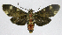  ( - 20-BAES-01124)  @11 [ ] CreativeCommons - Attribution Non-Commercial Share-Alike (2022) Bernardo Espinoza Guanacaste Dry Forest Conservation Fund