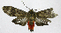  ( - 20-BAES-01180)  @11 [ ] CreativeCommons - Attribution Non-Commercial Share-Alike (2022) Bernardo Espinoza Guanacaste Dry Forest Conservation Fund