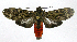  ( - 20-BAES-01221)  @11 [ ] CreativeCommons - Attribution Non-Commercial Share-Alike (2022) Bernardo Espinoza Guanacaste Dry Forest Conservation Fund