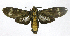  ( - 20-BAES-01221)  @11 [ ] CreativeCommons - Attribution Non-Commercial Share-Alike (2022) Bernardo Espinoza Guanacaste Dry Forest Conservation Fund