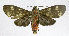  ( - 20-BAES-01280)  @11 [ ] CreativeCommons - Attribution Non-Commercial Share-Alike (2022) Bernardo Espinoza Guanacaste Dry Forest Conservation Fund