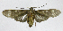  ( - 20-BAES-01285)  @11 [ ] CreativeCommons - Attribution Non-Commercial Share-Alike (2022) Bernardo Espinoza Guanacaste Dry Forest Conservation Fund