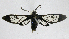  ( - 20-BAES-01323)  @11 [ ] CreativeCommons - Attribution Non-Commercial Share-Alike (2022) Bernardo Espinoza Guanacaste Dry Forest Conservation Fund