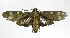  ( - 20-BAES-01399)  @11 [ ] CreativeCommons - Attribution Non-Commercial Share-Alike (2022) Bernardo Espinoza Guanacaste Dry Forest Conservation Fund