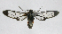  ( - 20-BAES-01427)  @11 [ ] CreativeCommons - Attribution Non-Commercial Share-Alike (2022) Bernardo Espinoza Guanacaste Dry Forest Conservation Fund