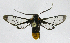  ( - 20-BAES-01428)  @11 [ ] CreativeCommons - Attribution Non-Commercial Share-Alike (2022) Bernardo Espinoza Guanacaste Dry Forest Conservation Fund