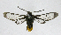  ( - 20-BAES-01428)  @11 [ ] CreativeCommons - Attribution Non-Commercial Share-Alike (2022) Bernardo Espinoza Guanacaste Dry Forest Conservation Fund