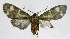  ( - 20-BAES-01432)  @11 [ ] CreativeCommons - Attribution Non-Commercial Share-Alike (2022) Bernardo Espinoza Guanacaste Dry Forest Conservation Fund