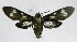  ( - 20-BAES-01435)  @11 [ ] CreativeCommons - Attribution Non-Commercial Share-Alike (2022) Bernardo Espinoza Guanacaste Dry Forest Conservation Fund
