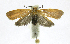  ( - 20-BAES-01528)  @11 [ ] CreativeCommons Attribution NonCommercial ShareAlike (2022) Bernardo Espinoza Guanacaste Dry Forest Conservation Fund