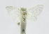  ( - 20-BAES-01539)  @11 [ ] CreativeCommons Attribution NonCommercial ShareAlike (2022) Bernardo Espinoza Guanacaste Dry Forest Conservation Fund