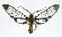  ( - 21-BAES-01585)  @11 [ ] CreativeCommons Attribution NonCommercial ShareAlike (2022) Bernardo Espinoza Guanacaste Dry Forest Conservation Fund