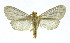  ( - 21-BAES-01595)  @11 [ ] CreativeCommons Attribution NonCommercial ShareAlike (2022) Bernardo Espinoza Guanacaste Dry Forest Conservation Fund