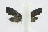  ( - 21-BAES-01636)  @11 [ ] CreativeCommons - Attribution Non-Commercial Share-Alike (2022) Bernardo Espinoza Guanacaste Dry Forest Conservation Fund