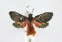  ( - 21-BAES-01640)  @11 [ ] CreativeCommons - Attribution Non-Commercial Share-Alike (2022) Bernardo Espinoza Guanacaste Dry Forest Conservation Fund