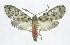  ( - 21-BAES-01829)  @11 [ ] CreativeCommons - Attribution Non-Commercial Share-Alike (2023) Bernardo Espinoza Guanacaste Dry Forest Conservation Fund