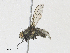 ( - CBG-A27536-D09)  @11 [ ] CreativeCommons - Attribution Share - Alike (2024) CBG Photography Group Centre for Biodiversity Genomics