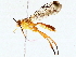  ( - BIOUG76520-D06)  @11 [ ] CreativeCommons - Attribution (2022) CBG Photography Group Centre for Biodiversity Genomics