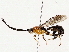  ( - BIOUG76521-A10)  @11 [ ] CreativeCommons - Attribution (2022) CBG Photography Group Centre for Biodiversity Genomics
