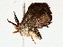  ( - BIOUG76521-B12)  @11 [ ] CreativeCommons - Attribution (2022) CBG Photography Group Centre for Biodiversity Genomics