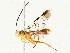  ( - BIOUG76521-F07)  @11 [ ] CreativeCommons - Attribution (2022) CBG Photography Group Centre for Biodiversity Genomics