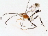 ( - BIOUG76522-B03)  @11 [ ] CreativeCommons - Attribution (2022) CBG Photography Group Centre for Biodiversity Genomics