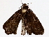  ( - BIOUG76522-D01)  @11 [ ] CreativeCommons - Attribution (2022) CBG Photography Group Centre for Biodiversity Genomics