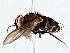  ( - BIOUG76522-F04)  @11 [ ] CreativeCommons - Attribution (2022) CBG Photography Group Centre for Biodiversity Genomics