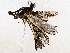  ( - BIOUG76523-F07)  @11 [ ] CreativeCommons - Attribution (2022) CBG Photography Group Centre for Biodiversity Genomics