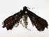  ( - BIOUG76523-G02)  @11 [ ] CreativeCommons - Attribution (2022) CBG Photography Group Centre for Biodiversity Genomics