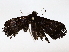 ( - BIOUG76523-G05)  @11 [ ] CreativeCommons - Attribution (2022) CBG Photography Group Centre for Biodiversity Genomics