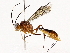  ( - BIOUG76524-C07)  @11 [ ] CreativeCommons - Attribution (2022) CBG Photography Group Centre for Biodiversity Genomics