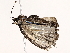  ( - BIOUG76524-E02)  @11 [ ] CreativeCommons - Attribution (2022) CBG Photography Group Centre for Biodiversity Genomics