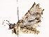  ( - BIOUG76524-E08)  @11 [ ] CreativeCommons - Attribution (2022) CBG Photography Group Centre for Biodiversity Genomics