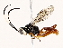  ( - BIOUG76525-E01)  @11 [ ] CreativeCommons - Attribution (2022) CBG Photography Group Centre for Biodiversity Genomics