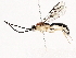  ( - BIOUG76525-E09)  @11 [ ] CreativeCommons - Attribution (2022) CBG Photography Group Centre for Biodiversity Genomics