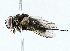  ( - BIOUG76527-A10)  @11 [ ] CreativeCommons - Attribution (2022) CBG Photography Group Centre for Biodiversity Genomics