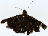 ( - BIOUG76527-B08)  @13 [ ] CreativeCommons - Attribution (2022) CBG Photography Group Centre for Biodiversity Genomics