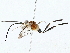  ( - BIOUG76527-D11)  @11 [ ] CreativeCommons - Attribution (2022) CBG Photography Group Centre for Biodiversity Genomics