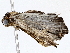  ( - BIOUG76552-A10)  @11 [ ] CreativeCommons - Attribution (2022) CBG Photography Group Centre for Biodiversity Genomics