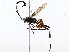  ( - BIOUG76552-C08)  @11 [ ] CreativeCommons - Attribution (2022) CBG Photography Group Centre for Biodiversity Genomics