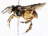  ( - BIOUG76552-D03)  @11 [ ] CreativeCommons - Attribution (2022) CBG Photography Group Centre for Biodiversity Genomics
