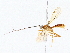  ( - BIOUG76552-D09)  @11 [ ] CreativeCommons - Attribution (2022) CBG Photography Group Centre for Biodiversity Genomics