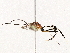  ( - BIOUG76552-H03)  @11 [ ] CreativeCommons - Attribution (2022) CBG Photography Group Centre for Biodiversity Genomics